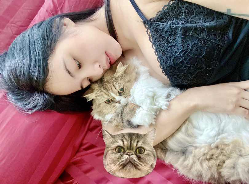 เชอ ปอย profile icon