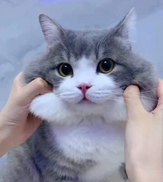 viewvinly profile icon