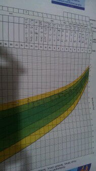 naikin berat badan anak