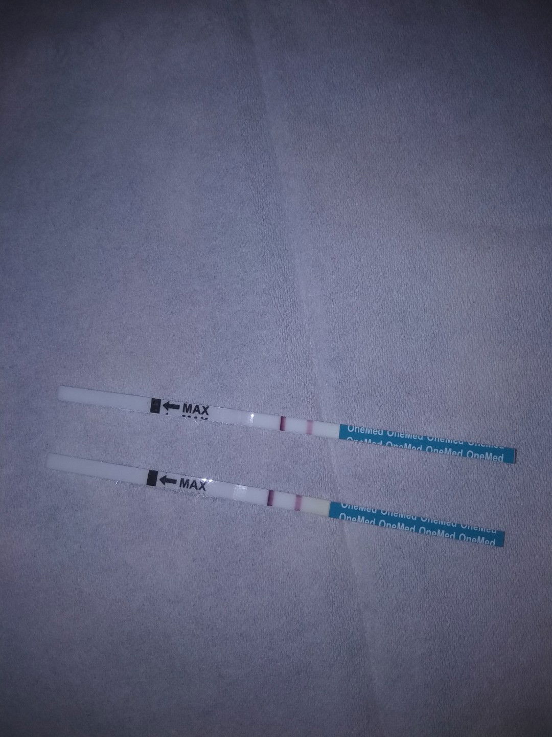 Musrifah Ifa profile icon