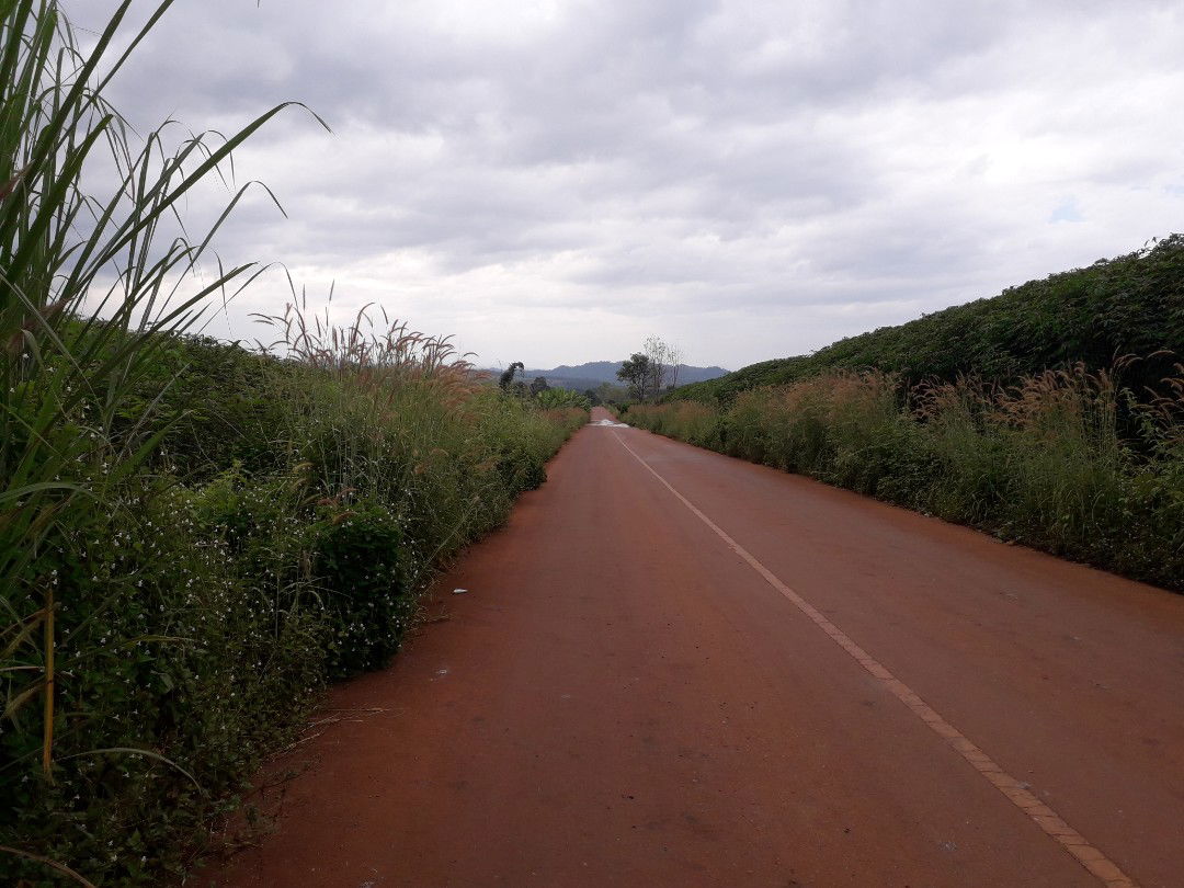 หนทางที่ยาวนาน profile icon