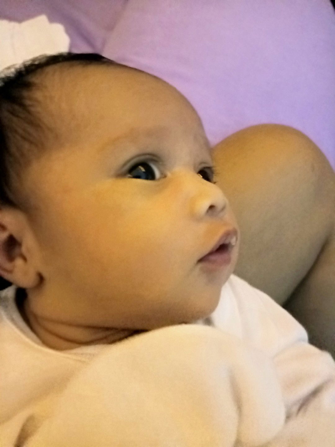 Rov Gigantone profile icon