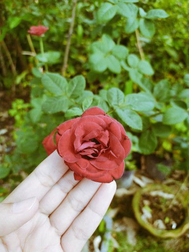 riskiekawani profile icon