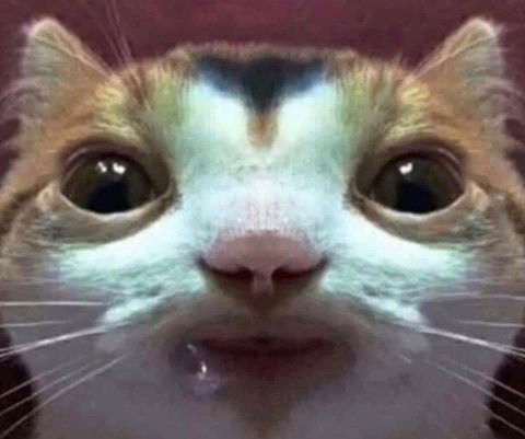 Anonymous profile icon