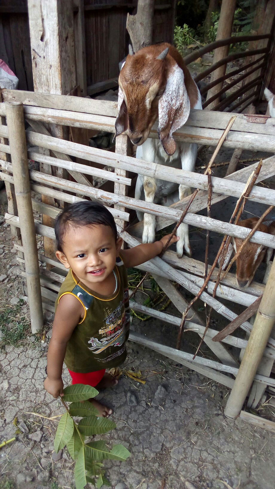 Irma Ira Wati profile icon