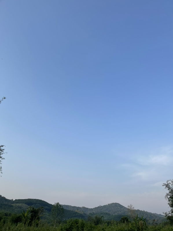 nichaya profile icon