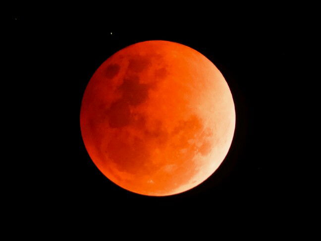 mamaMars profile icon