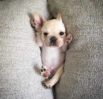 Sudarat profile icon