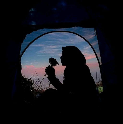 Lisa Liu profile icon