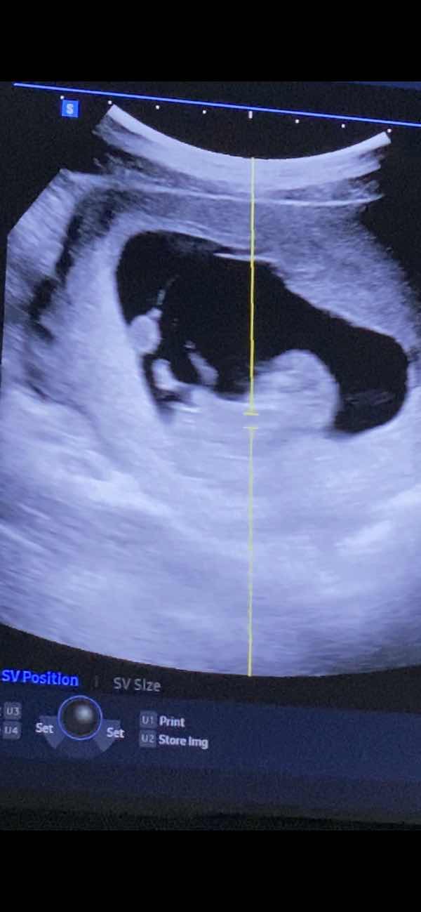 ป.ปลา profile icon