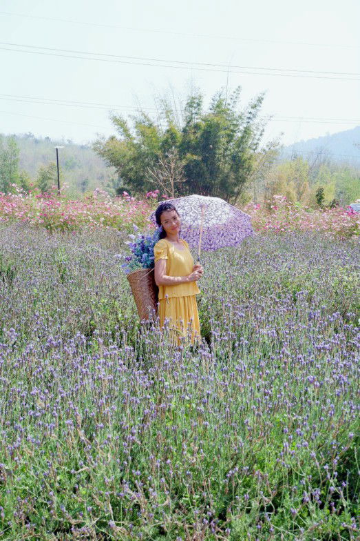 Wilawan Chaveataku profile icon