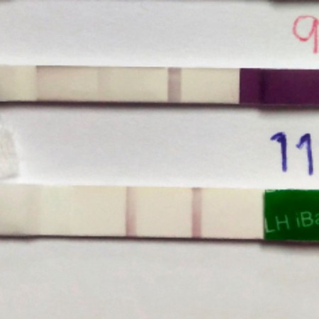 ไข่ตกมั้ย