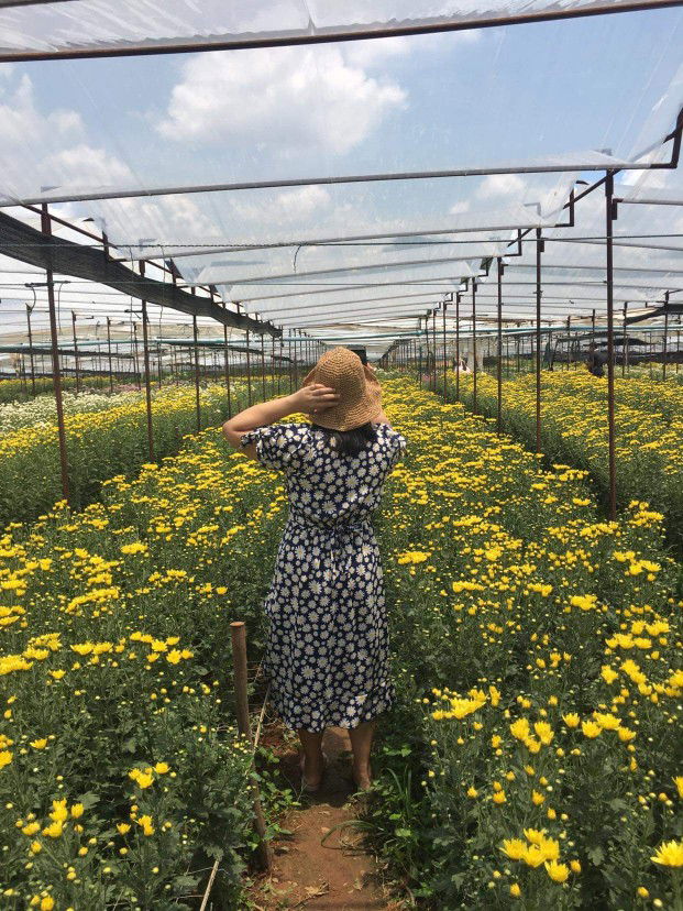 Moowaan profile icon