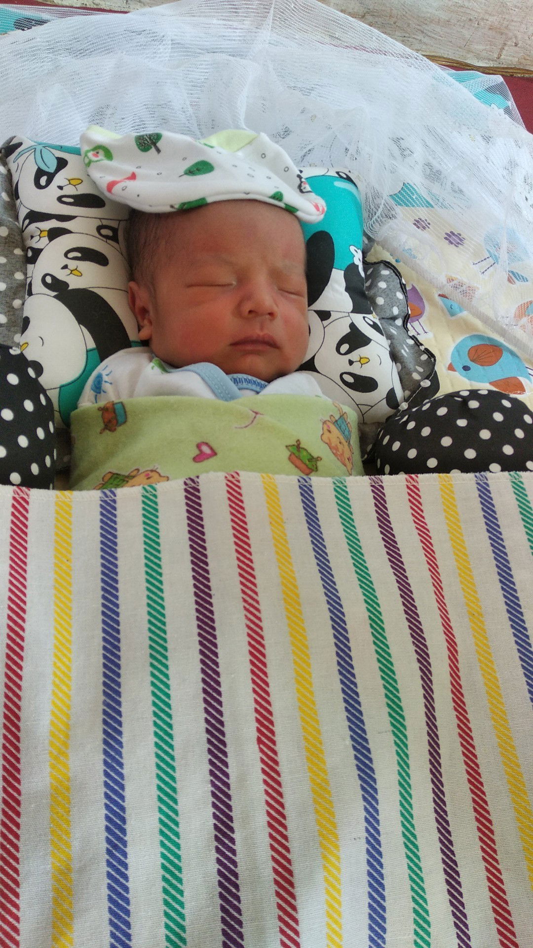 Bulan Juni profile icon