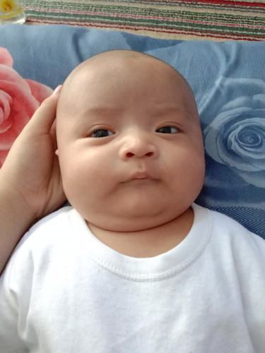 berat badan bayi sufor