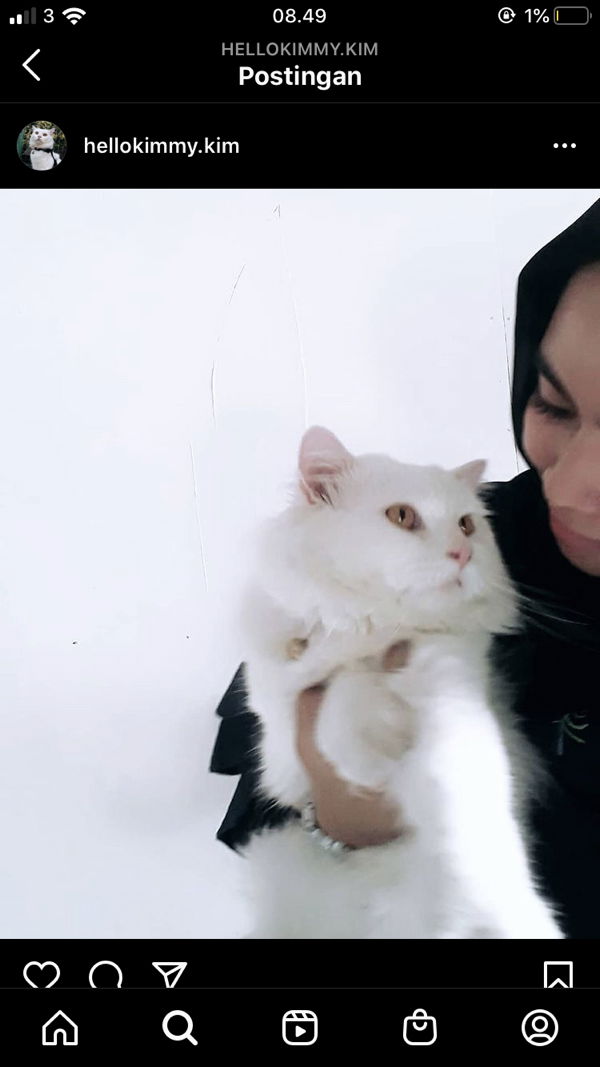 mommy shafa profile icon