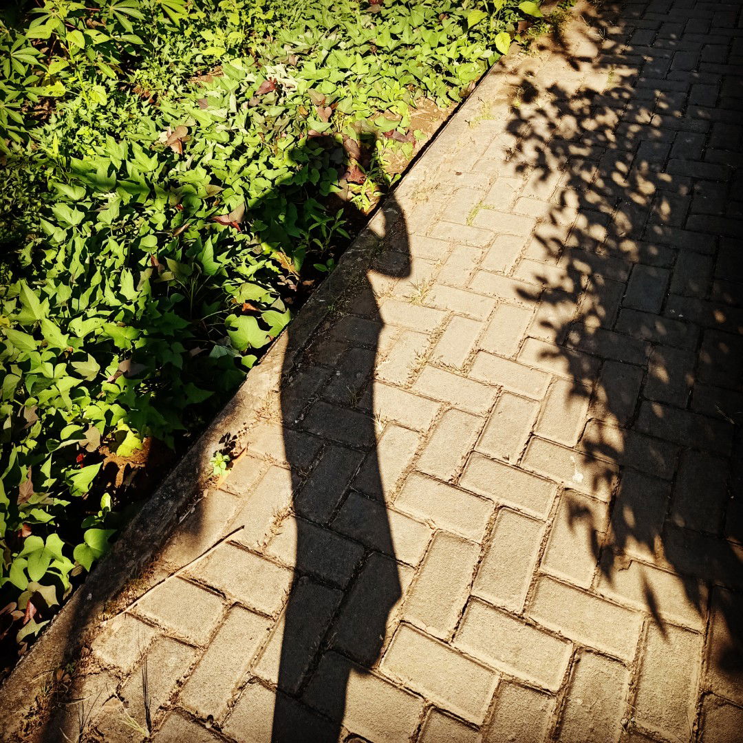 Bella Aruna wr profile icon