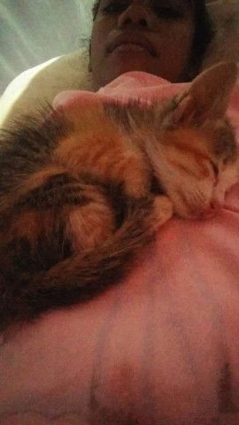 Imran Amoy profile icon