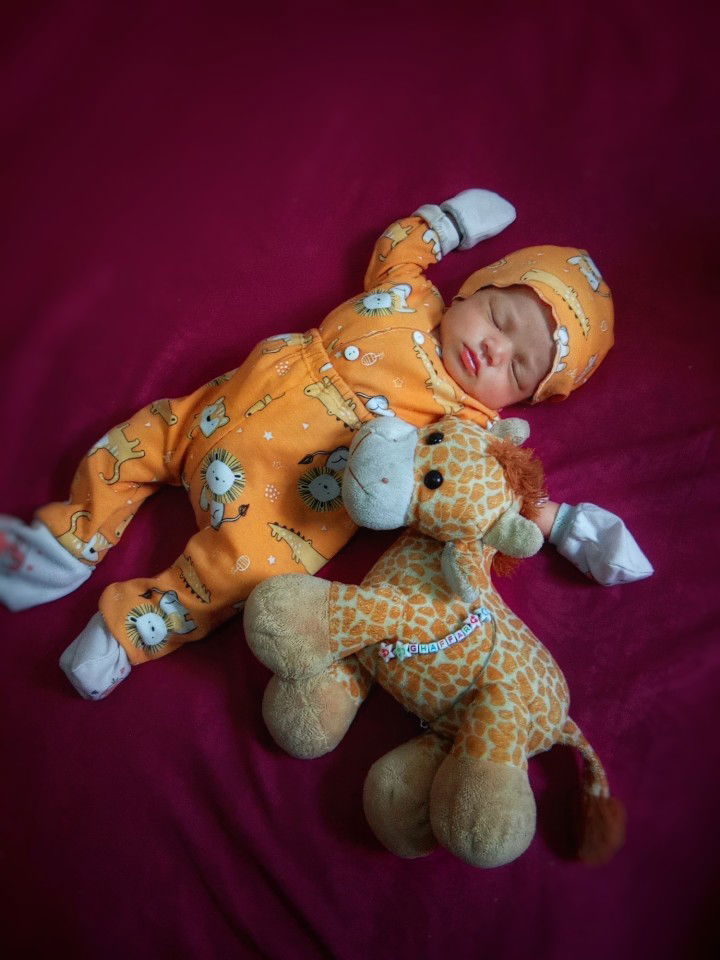 nova rosmalita96 profile icon