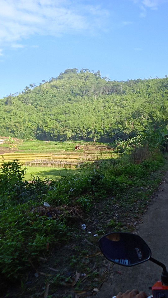 Risma Wdynt profile icon