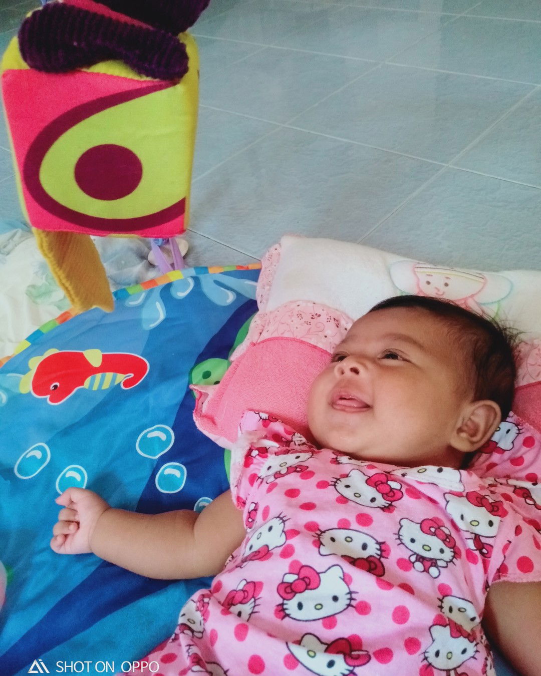 Shedas's SD profile icon