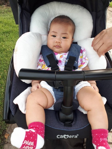 แพมเพิส