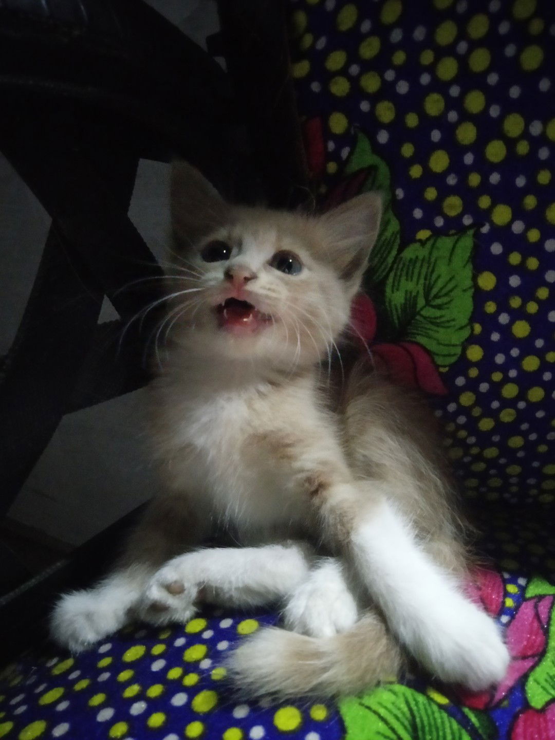 Mrs. MAW profile icon