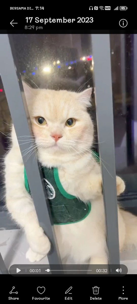 NMB8788 profile icon