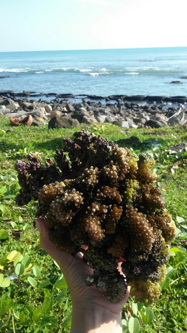 Nur Wahyuni profile icon