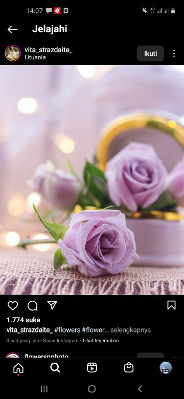 Aisha Rayya profile icon