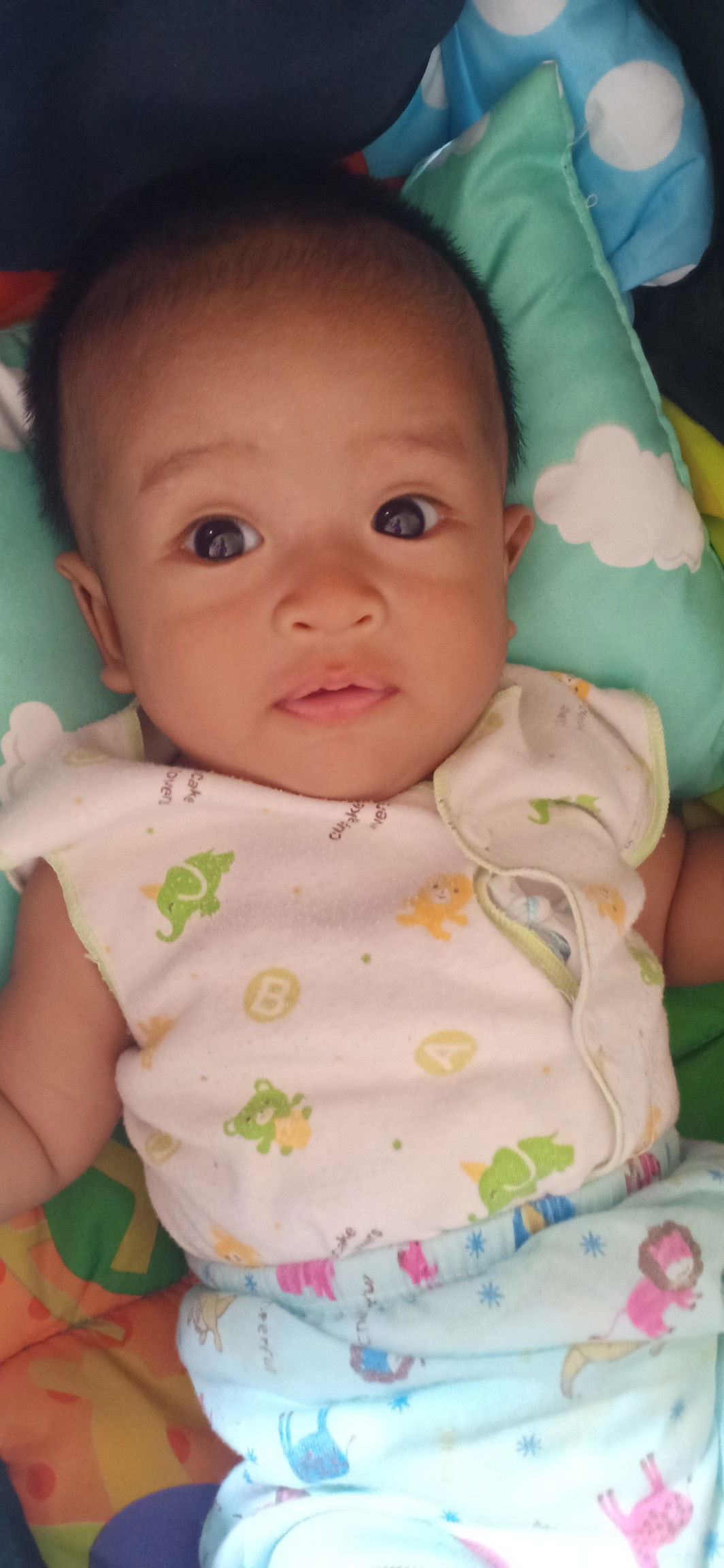 Erica Nova Destriana profile icon