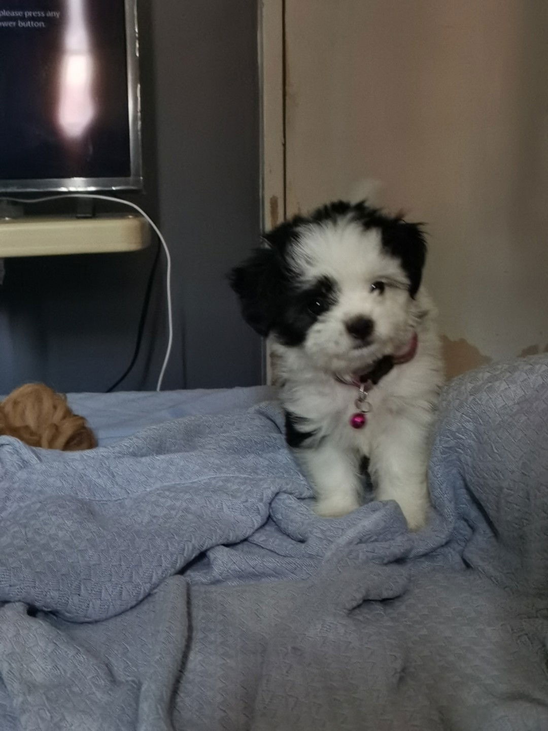 Camille profile icon