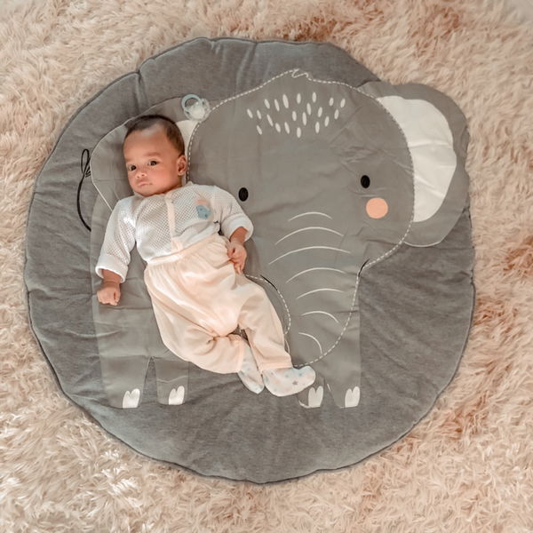 Wan Muhammad Aidil Rizqi Bin Wan Mohammad Shazwan profile icon