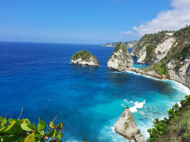 Dina Yuhara profile icon