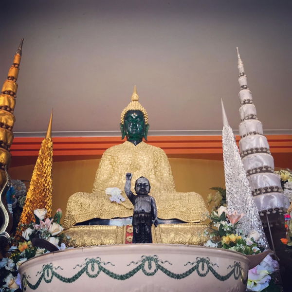 Julie.T profile icon