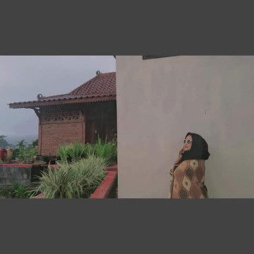 Dani Suryani profile icon