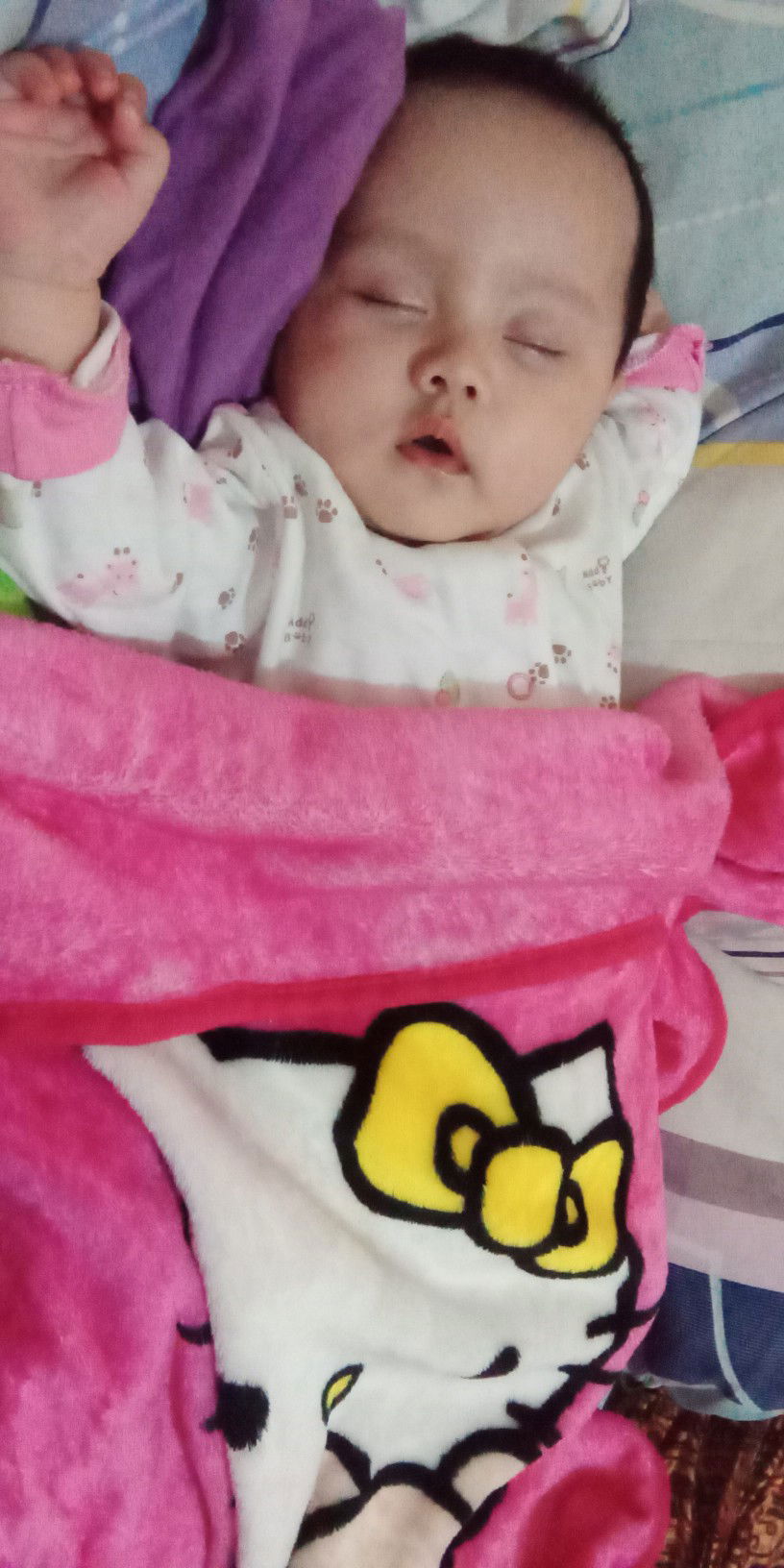 kepala teleng(peyang)