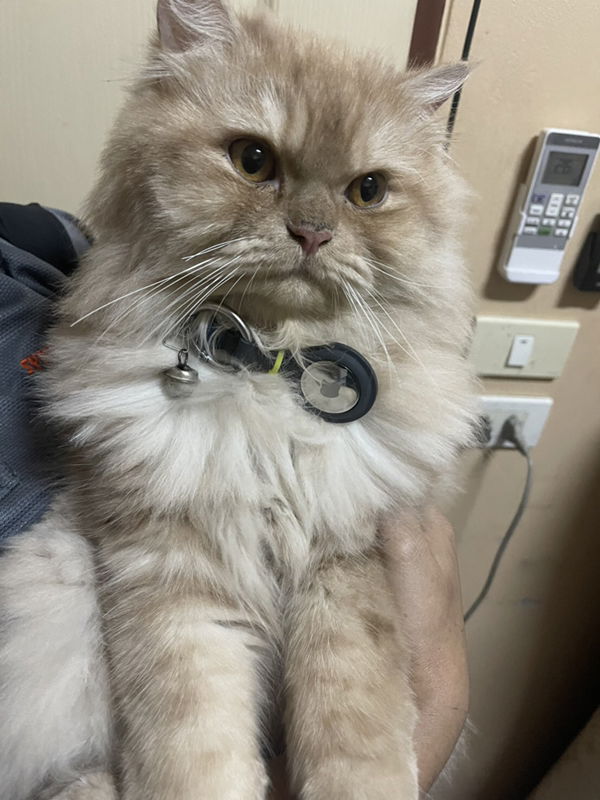 Tyr Thanyarat profile icon