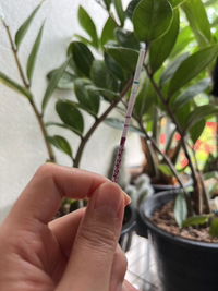 Puiizy Sinjai Samorna profile icon