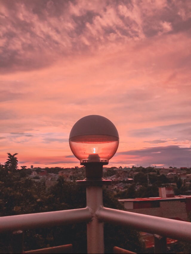 celapot profile icon