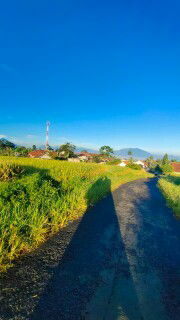 Susi Lawati profile icon