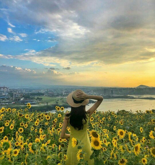 Maia Prasetdja profile icon