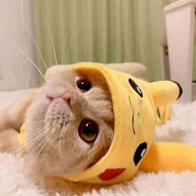 Andrea Oreiro profile icon