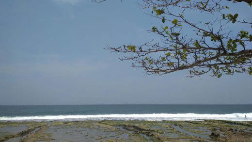 mela Mela profile icon