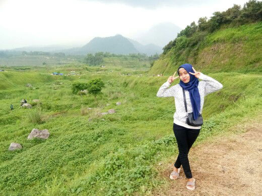 nofimei profile icon