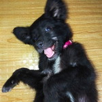 Rica May profile icon