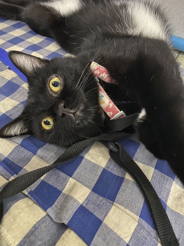 ZineMinho profile icon