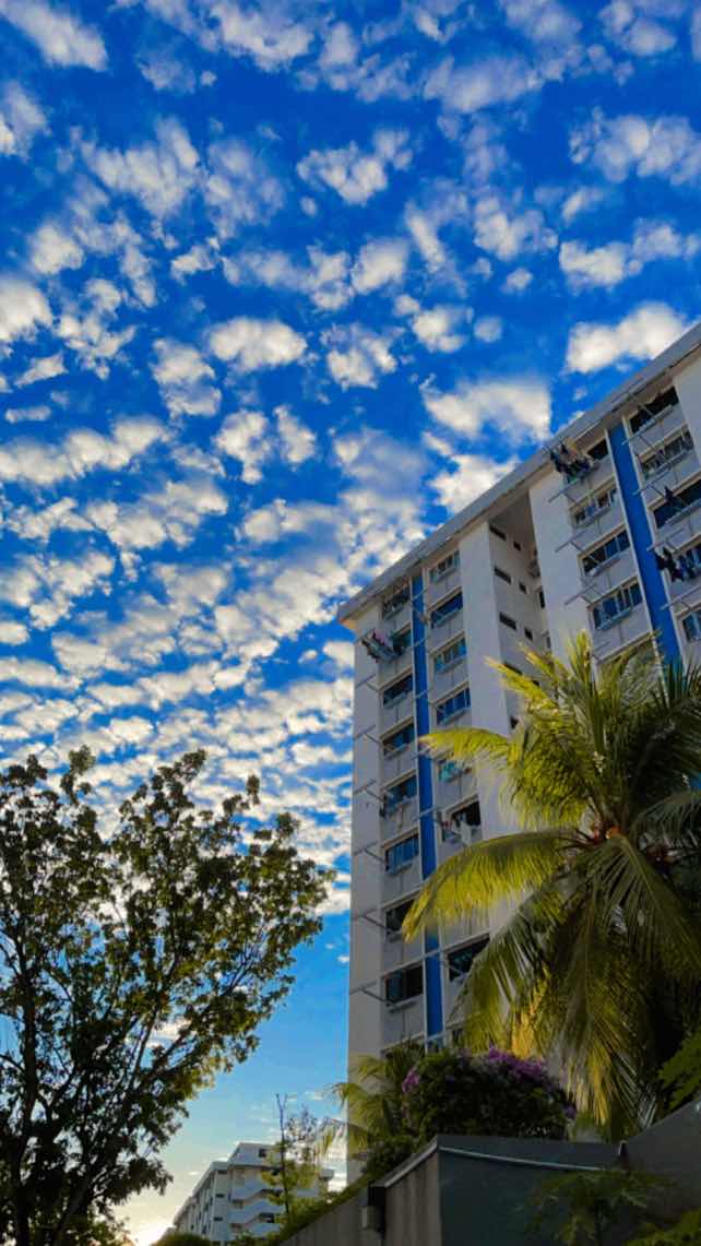 sinar muhammad Ali profile icon