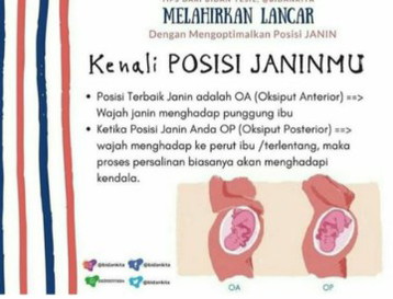 posisi bayi