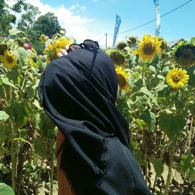 lutfitaning tiyas profile icon